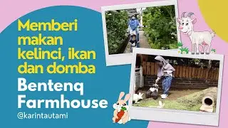 Wisata Edukasi di Tasikmalaya, bisa kasih makan ikan, kelinci dan kambing Bentenq Farmhouse