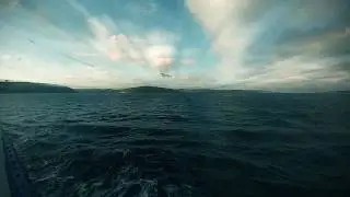 Instinct-Hans Zimmer