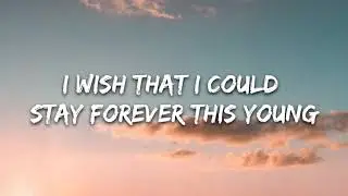 Avicii -  Wake Me Up Lyrics