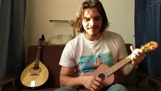 Mă iau după soare, cover The Beatles/Alexandru Andrieș
