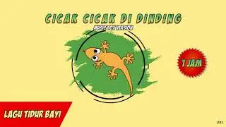 Cicak Cicak Di Dinding (Music Box Version) - Lagu Tidur Bayi 1 Jam (elite.)