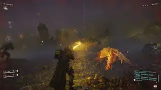 Helldivers 2 Bugs Gameplay