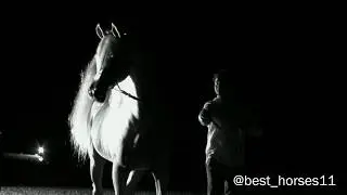 Hariry AL shaqab