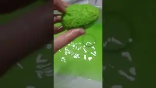 I DROPED THE PHONE😭❗️❗️DINO TIME GONE WRONG