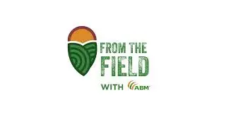 From the Field - Breaking Down the Plant