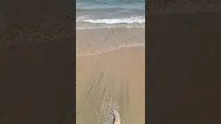 Шарм-Аль Шейх море