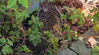 Enjoying nature