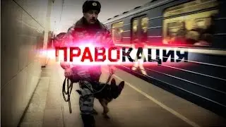 ПРАВОкация охраны в метро (Социальный эксперимент)