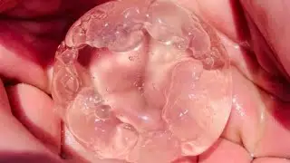 Крым 2021. Ужас что творится с морем. МЕДУЗЫ заполнили берег в Николаевке 🌊🐙🦀🐚🦐🤿