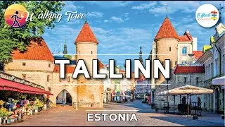 🇪🇪 Tallinn Travel Guide - Complete Tour 2024 - 4K Walking Tour 2024