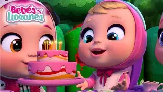 BEBÉS LLORONES 💧 Celebramos el Cumpleaños de Alice 🎂 Lágrimas Mágicas 💦 Dibujos Animados en Directo