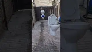 how is possible to toilet vs. toilet