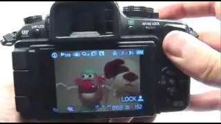 Panasonic G1/GH1: Sports