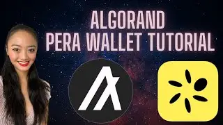 How to Set Up a Pera Algo Wallet! Algorand Wallet Tutorial