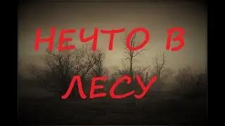 Нечто в лесу