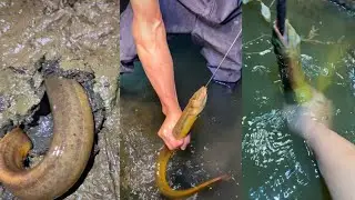 Fishing Talented Fisherman Catching Seafood | Deep Sea Creatures 