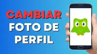 Cómo Cambiar la Foto de Perfil en Duolingo