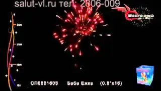 СП0801603 Баба Ежка