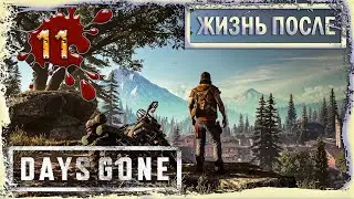 DAYS GONE – ПРОХОЖДЕНИЕ ИГРЫ➤ЗАЩИТА СЛАБЫХ➤НИКОГДА НЕ ЗДАЮСЬ