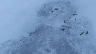 Рыбалка на окуня.зимняя рыбалка на хищника на озере песчаное.