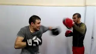 Руки
