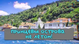 ПРИНЦЕВЫ ОСТРОВА часть 4 🏞️Ходим по горам в холодину 💙