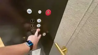 Otis Traction Elevators at Nordstrom Montgomery