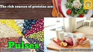 Food we eat | SCIENCE|