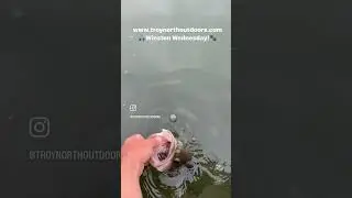 Winston Wednesday soft release of a nice largemouth bass. 🐾 #catchandrelease #bassfishing