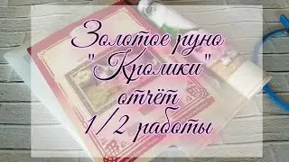 Золотое руно "Кролики" отчёт 1/2 работы