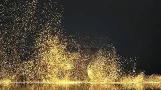 Лого MetaPax