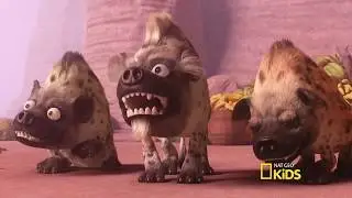 Turma da Floresta 2018 - Rindo a toa