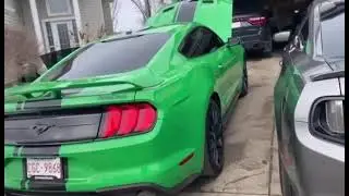 2019 Mustang 2.3L Turbo PP1