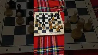 Задача 50. Уровень каледский. Шахматы. 