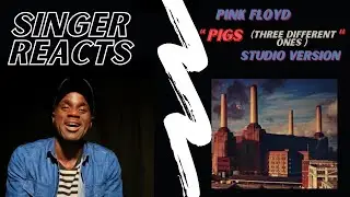 Singer Reacts … Pigs (Three Different Ones) Pink Floyd