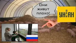 Разбор клеветы от срУНИАН про Машу из Мариуполя