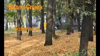 Видео-Стихи: 98 серия  