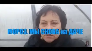 На ДАЧЕ в теплице.ЗАМОРОЗКИ.ЧТО там МОЖЕТ ВЫРАСТИ?