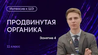 Интенсив к ШЭ | Органическая химия | 11 класс | Занятие 4