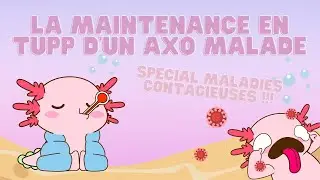 LA MAINTENANCE EN TUPP D'UN AXO MALADE : Spécial maladies contagieuses !!! Désinfection +++