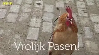 PopUpTv: Vrolijk Pasen!