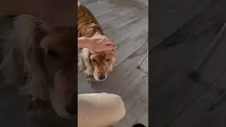 Распаковка с WB 💔Набор дозаторов 98804477 Декоративная подставка 41538678 