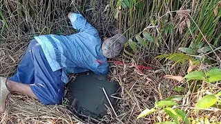 REKOR TERBARU MANCING LELE LEMBAT TERBESAR 2019...