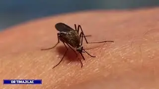 hadii kaneeco qaniinto qof qaba HIV/AIDS kadibna ee adi ku qaniinto maxaa dhacaayo ?