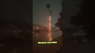 Деревья и молния