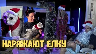 MAZELLOV AND KSYUSHA KOBA ARE DRESSING UP THE NEW YEAR'S TREE