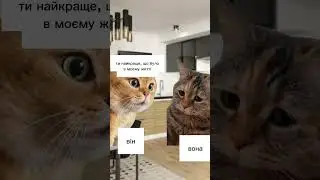 позитивчику для вас)