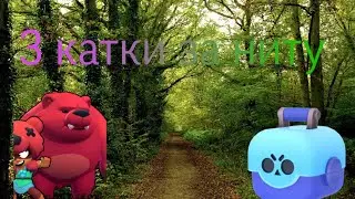 3 катки за ниту
