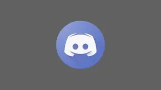 Text-Input in Discord-py | z B für  Feedback