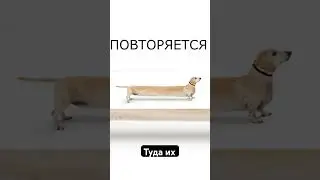 История циклична 